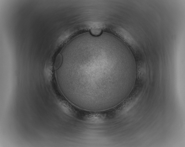 X0000111140736200907071048