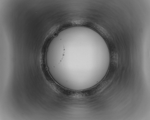 X0000111140738200907071048