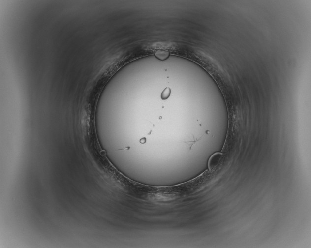 X0000111140739200907071048