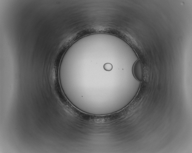 X0000111140740200907071048