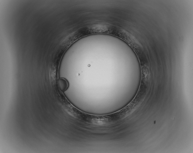 X0000111140745200907071048