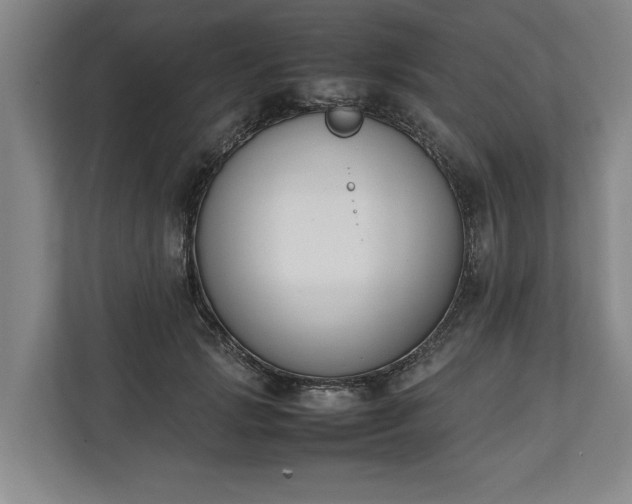 X0000111140749200907071048