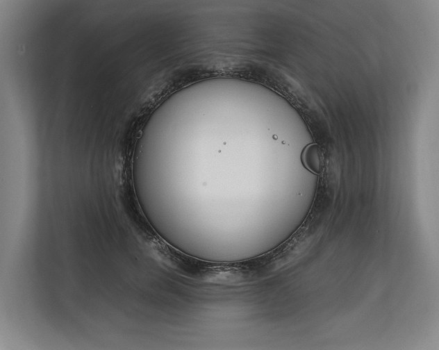 X0000111140750200907071048