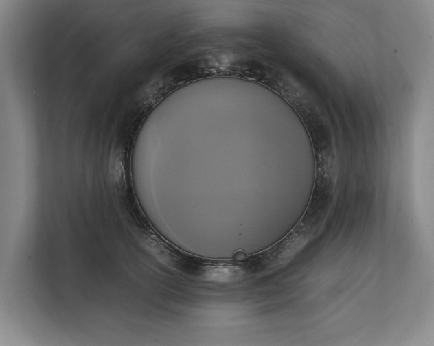 X0000111140754200907071048