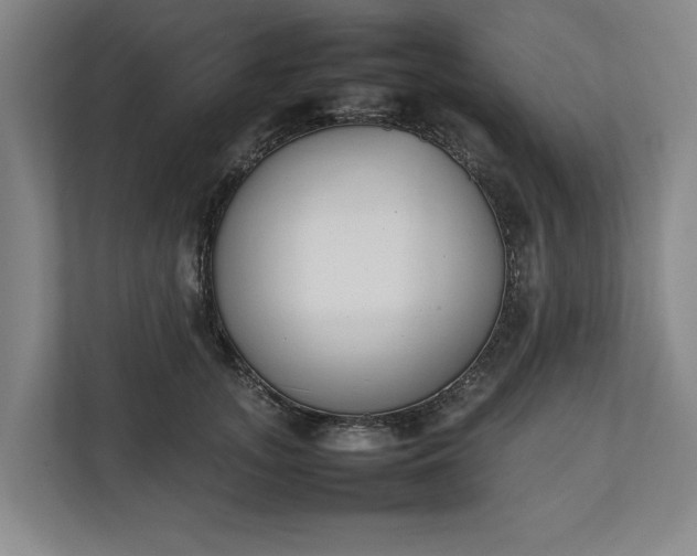 X0000111140755200907071049