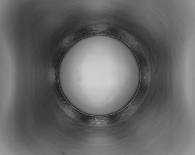 X0000111140758200907071049