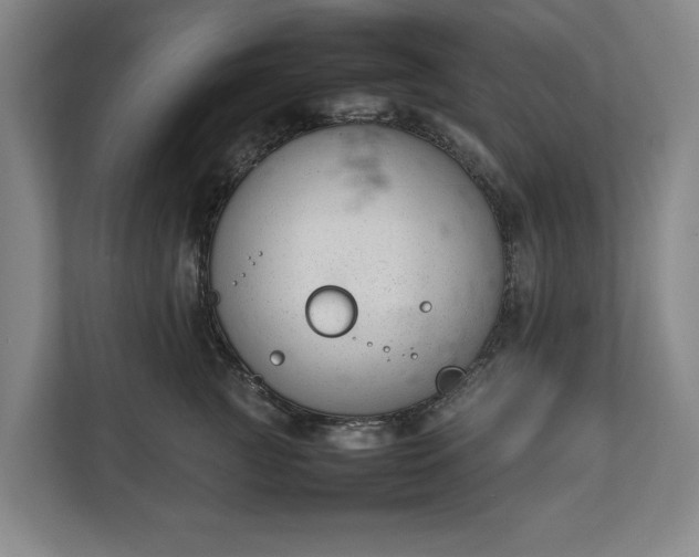 X0000111140761200907071049