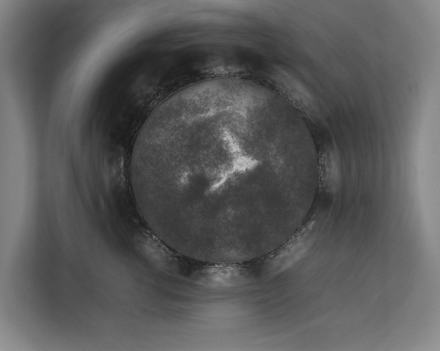 X0000111140762200907071049