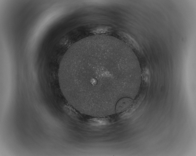 X0000111140763200907071049