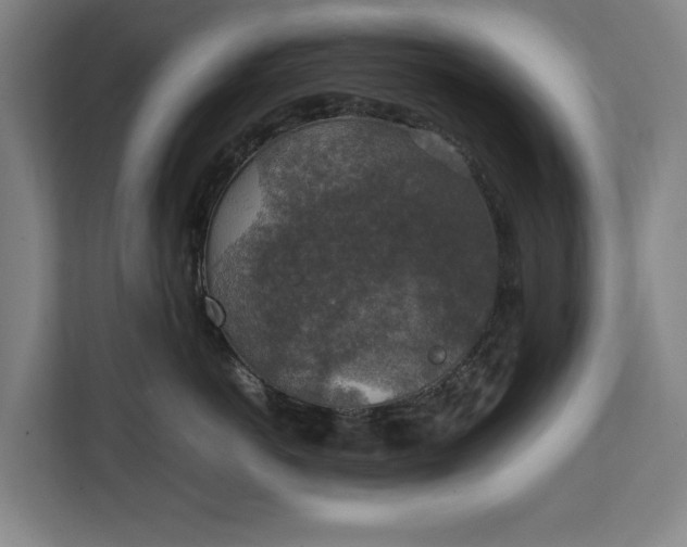 X0000111140766200907071049