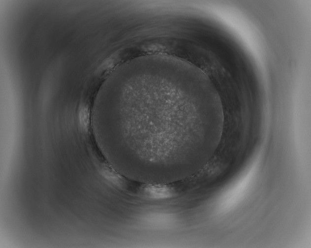 X0000111140767200907071049