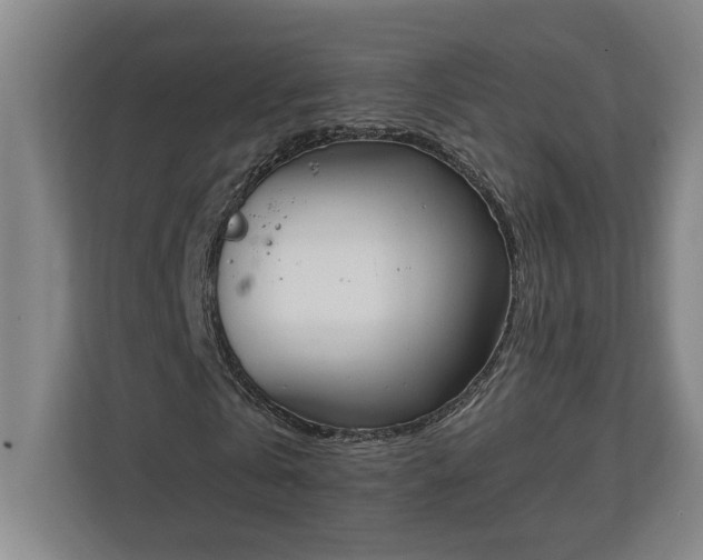 X0000111140769200907071048