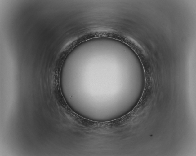 X0000111140775200907071048