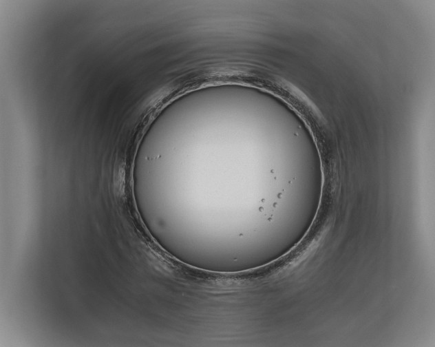 X0000111140777200907071048