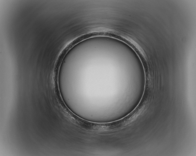 X0000111140783200907071048