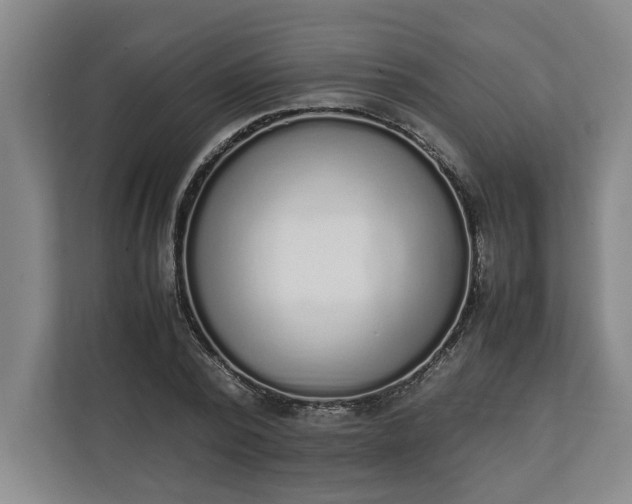 X0000111140784200907071048