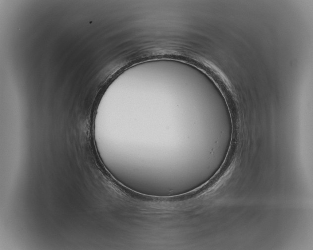 X0000111140785200907071048