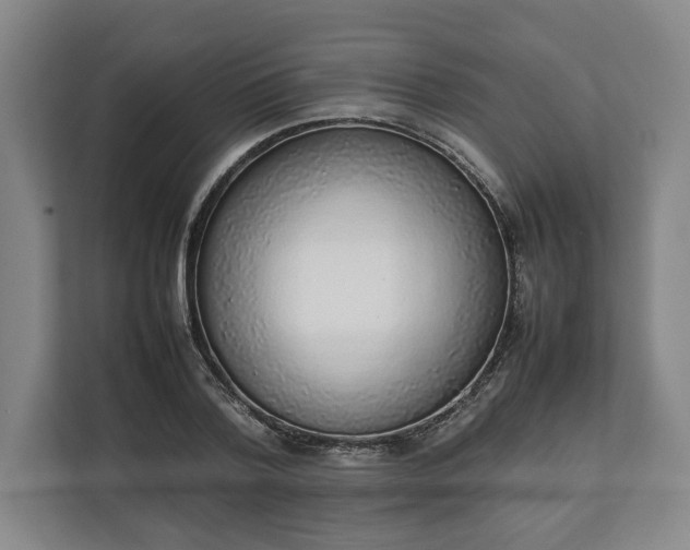 X0000111140788200907071048