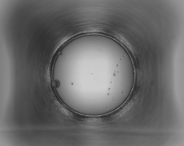 X0000111140789200907071048