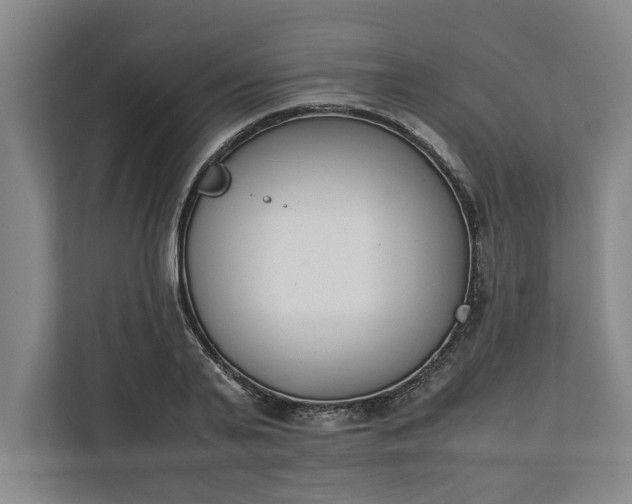 X0000111140791200907071048