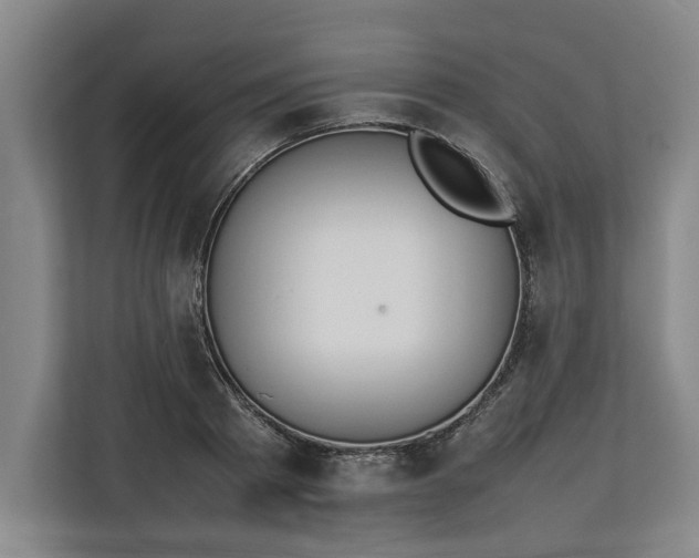 X0000111140793200907071048