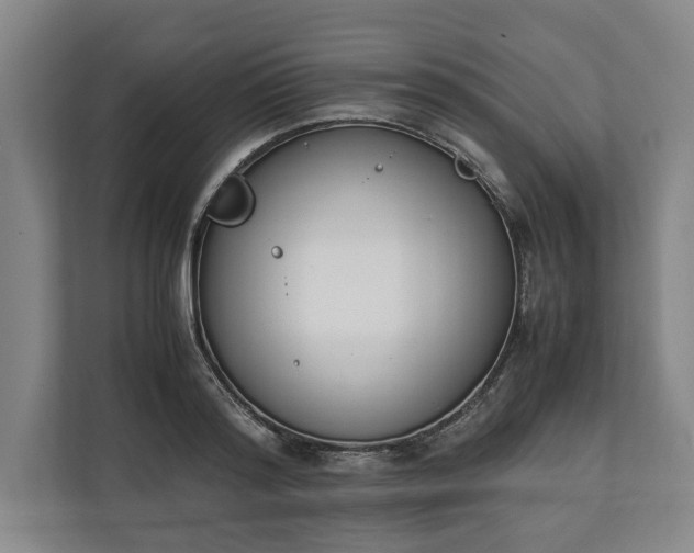 X0000111140796200907071048