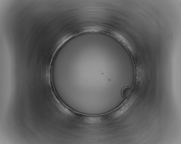 X0000111140802200907071048