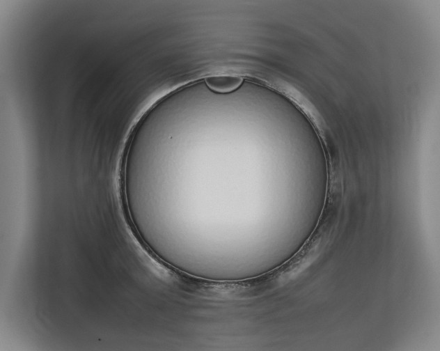 X0000111140803200907071048