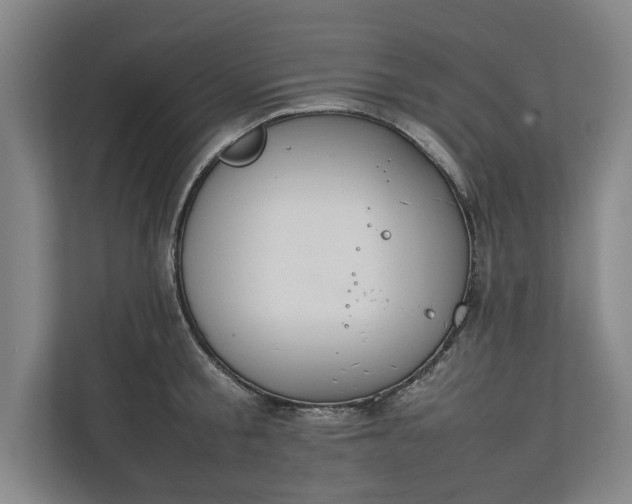 X0000111140805200907071048