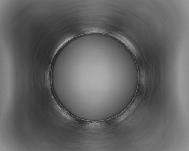 X0000111140806200907071048