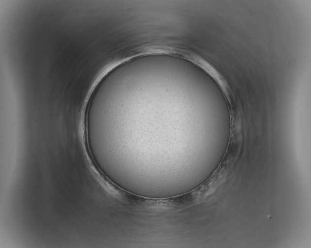 X0000111140811200907071048