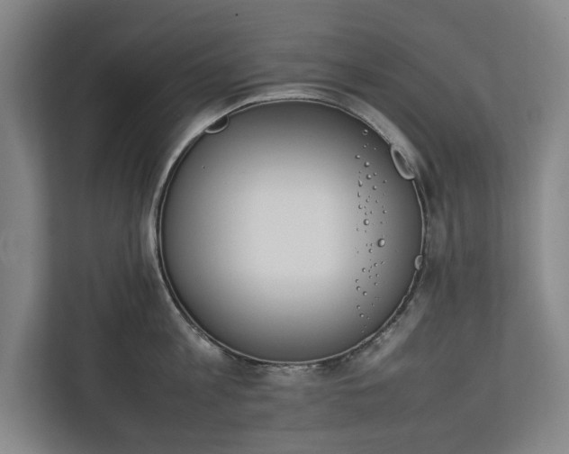 X0000111140813200907071047