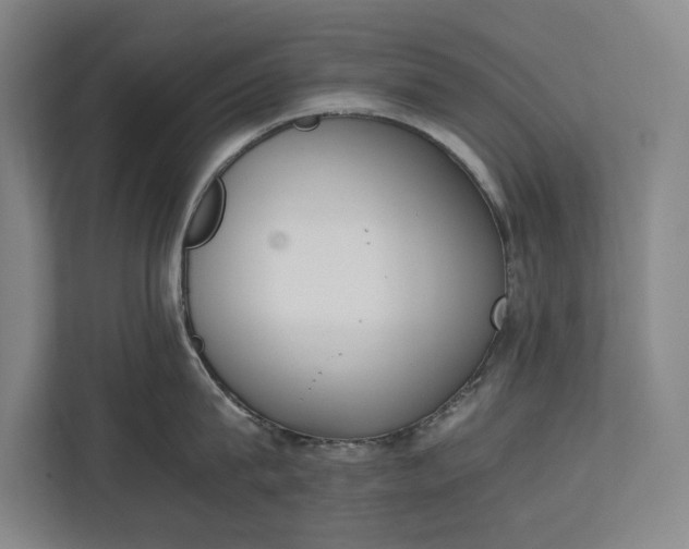 X0000111140815200907071047