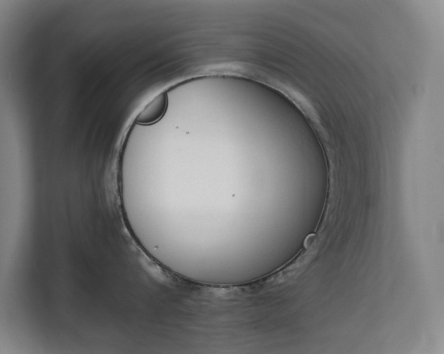 X0000111140816200907071047