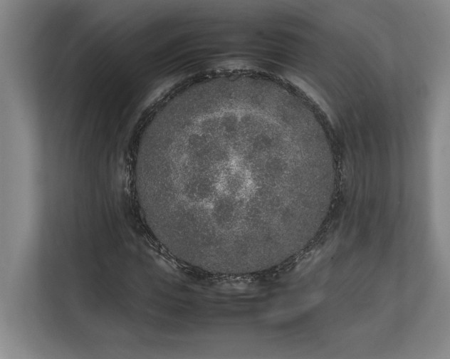 X0000111140823200907071047