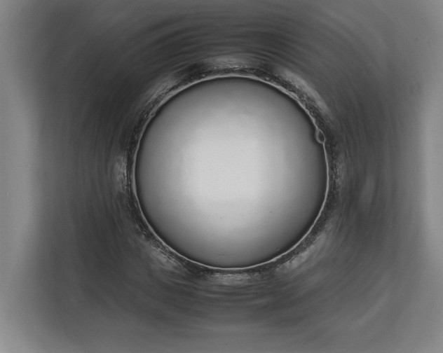 X0000111140825200907071047