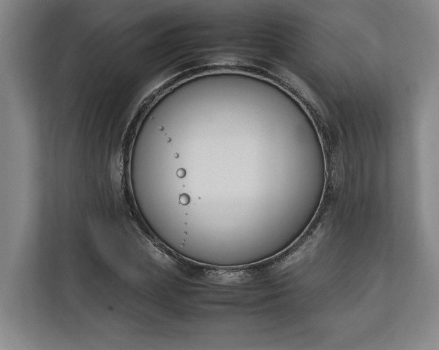 X0000111140831200907071047