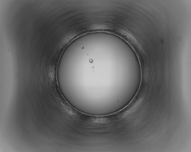 X0000111140833200907071047