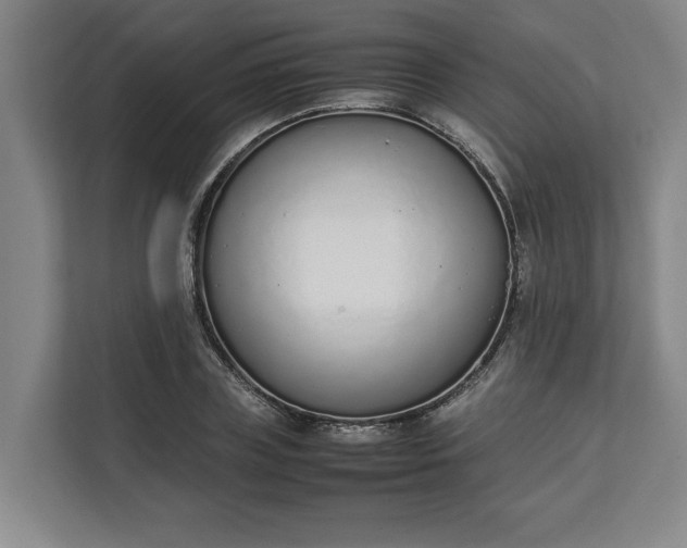 X0000111140835200907071047