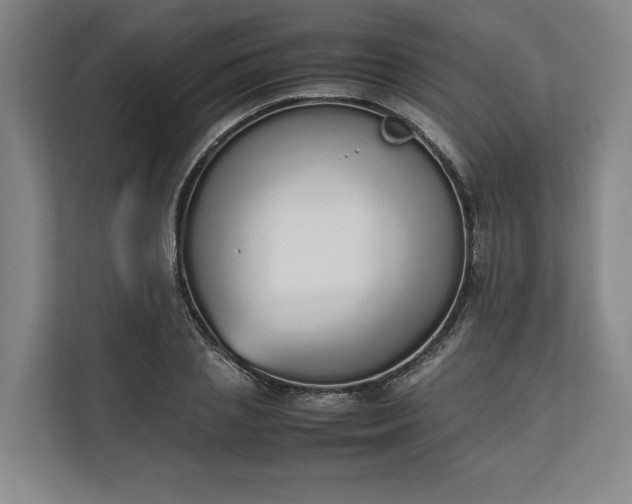 X0000111140837200907071047