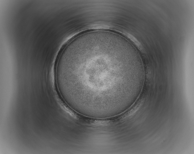 X0000111140840200907071047