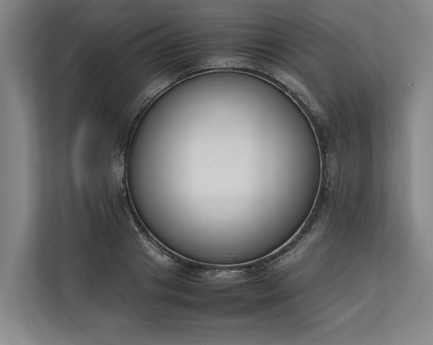 X0000111140841200907071047