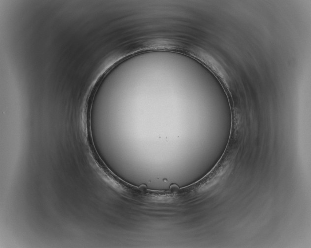 X0000111140843200907071047