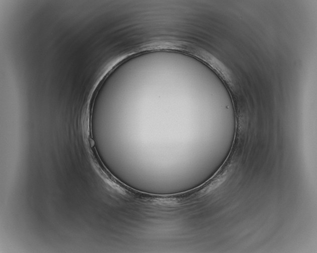 X0000111140844200907071047