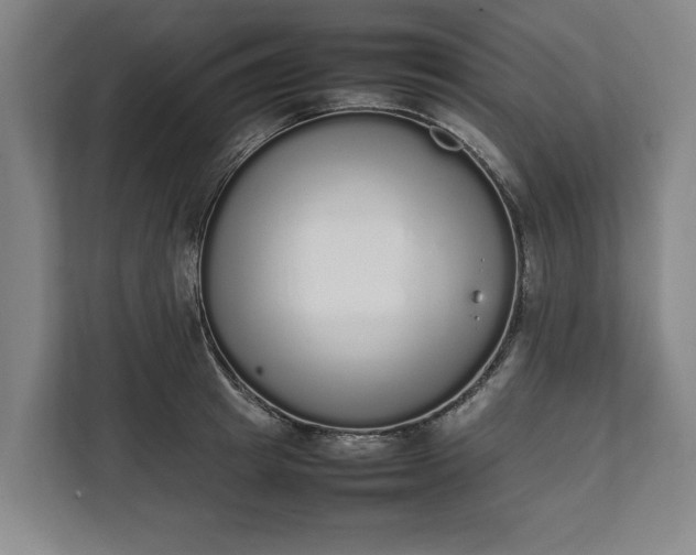 X0000111140849200907071047