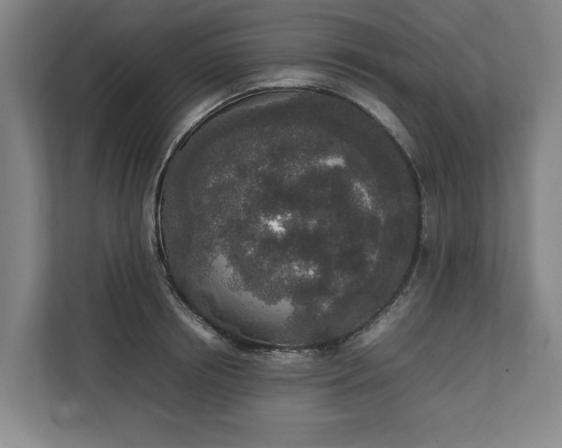 X0000111140850200907071047