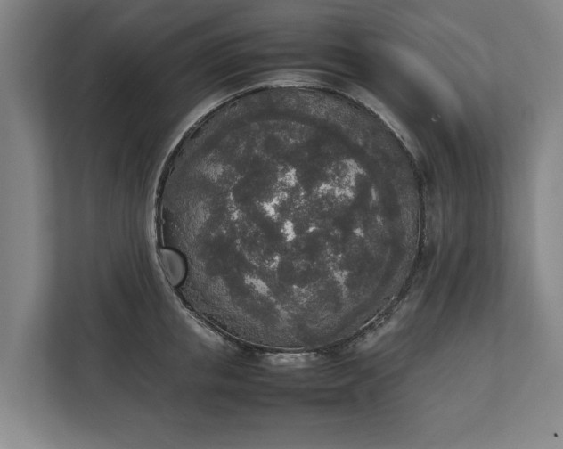 X0000111140853200907071047