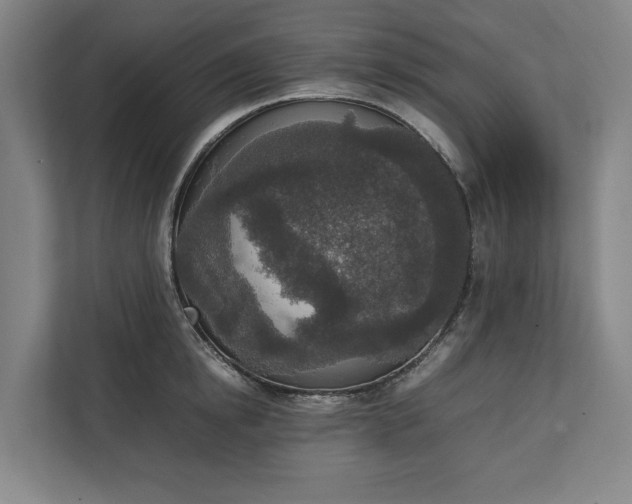 X0000111140854200907071047