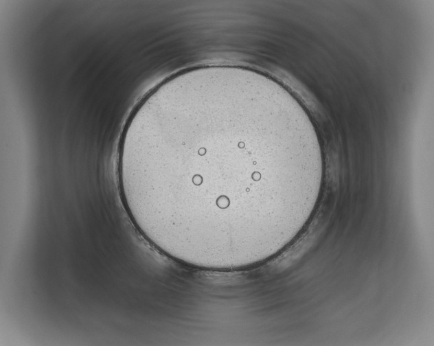 X0000111140856200907071047