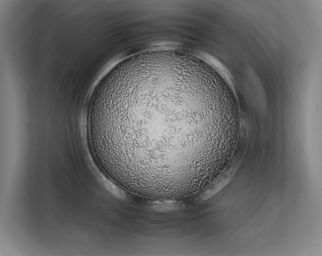 X0000111140859200907071047